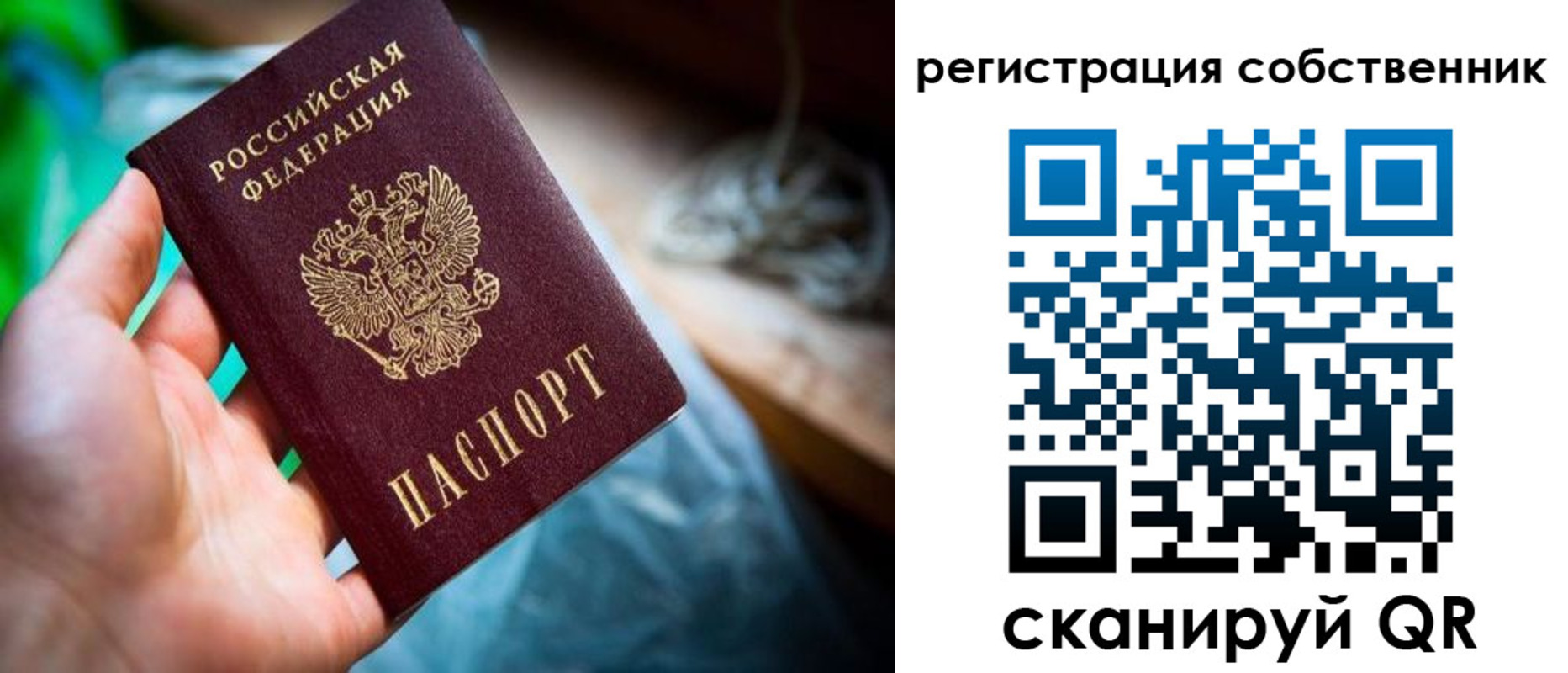 прописка гарантия в Завитинске
